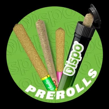 Cannabis Pre-Rolls at Best Prices in Michigan Buy Cannabis Pre-Rolls at Best Prices in Michigan