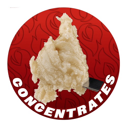 Cannabis Concentrates at Best Prices in Michigan - Dispo Buy Cannabis Concentrates at Best Prices in Michigan - Dispo