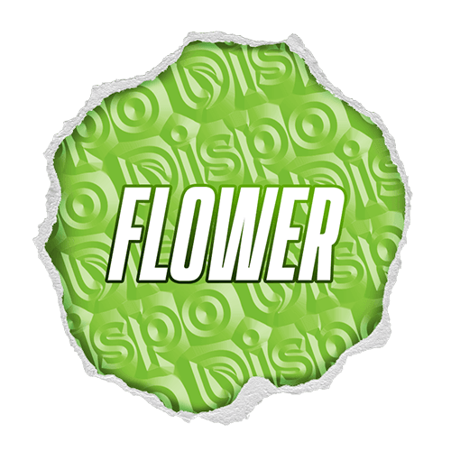 Cannabis Flower Buds at the Best Prices in Michigan - Dispo Cannabis Flower Buds at the Best Prices in Michigan - Dispo