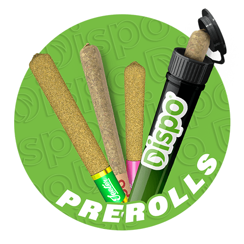 Cannabis Pre-Rolls at Best Prices in Michigan Buy Cannabis Pre-Rolls at Best Prices in Michigan