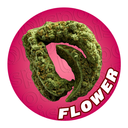 Cannabis Flower Buds at the Best Prices in Michigan - Dispo Cannabis Flower Buds at the Best Prices in Michigan - Dispo