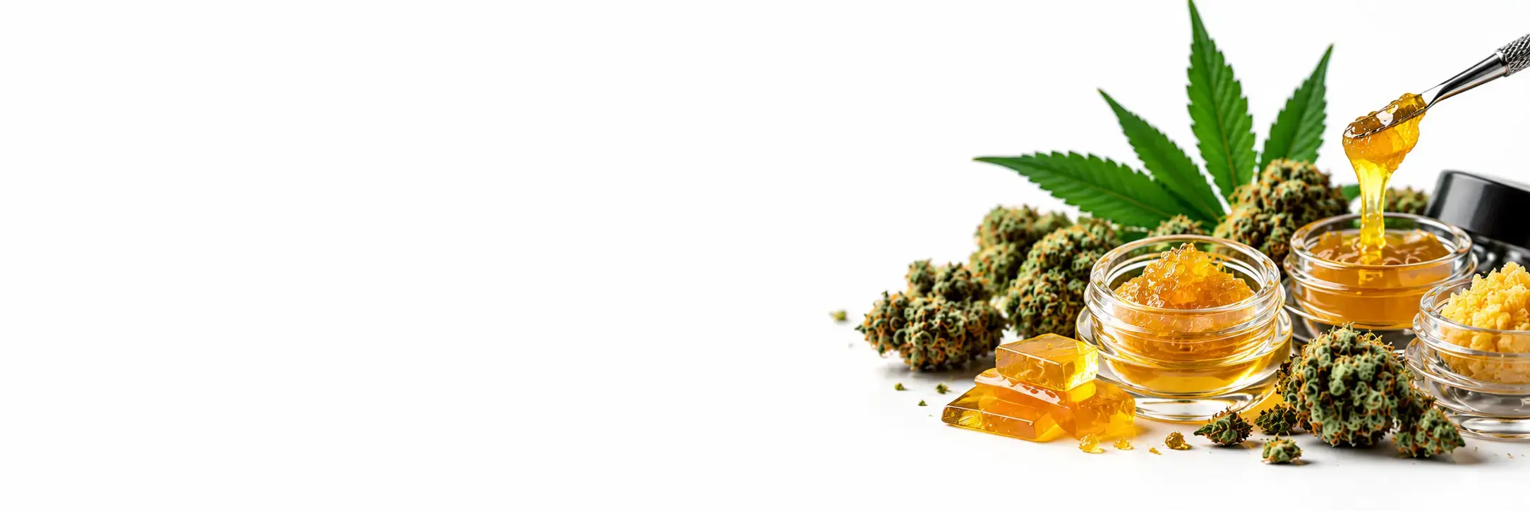 Shop Cannabis Concentrates at Dispo