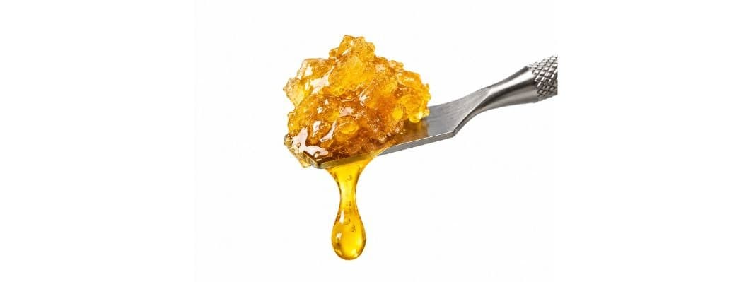 Concentrate Insights