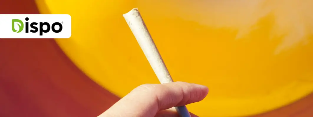How to Smoke a Pre-Roll Properly? How to Smoke a Pre-Roll Properly?