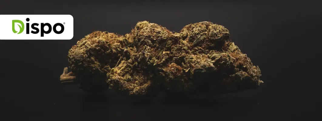 How to Store Cannabis Flower Properly  How to Store Cannabis Flower Properly