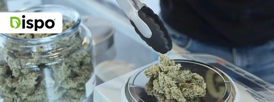 how to assess cannabis flower quality how to assess cannabis flower quality