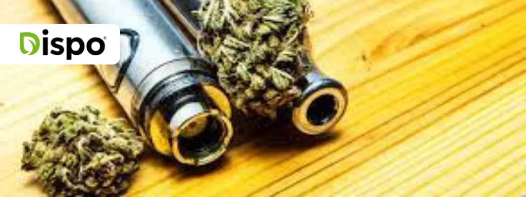 How to Use a Vaporizer for Cannabis Flowers? How to Use a Vaporizer for Cannabis Flowers?