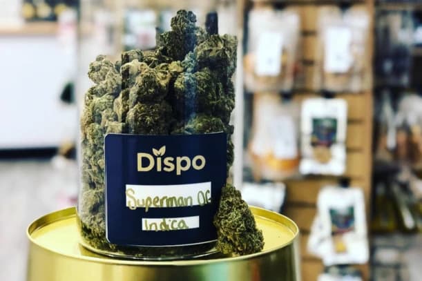 Recreational Cannabis Online in Bay City North, Michigan Recreational Cannabis Online in Bay City North, Michigan